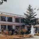 강동초 왕신분교 이미지