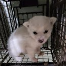 청북새싹길 이미지