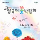 필립스(장미) | 고양국제꽃박람회 기간, 입장료, 야간개장,주차장 및 셔틀버스 노선 총정리