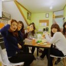 터틀하우스 이미지