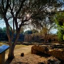 올림피아체육관 이미지