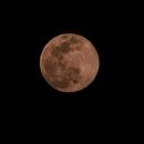 풍년상회 이미지