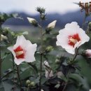 홍천향토사료관 이미지