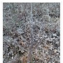 봄뜰에농장 이미지