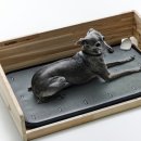 콜렌육십도 이미지