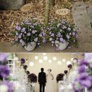 드까르멜릿 이미지