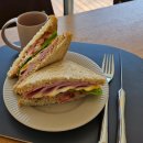 워킹인써클 | 청도 펜션 감성숙소 워킹인써클 풀빌라 이용 후기