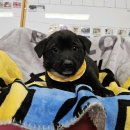 안골로108번길 이미지