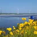 물고기태양광발전소 이미지