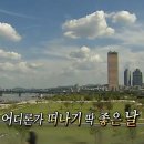베어트리파크 후기인데 도움은 안되는 그런 글