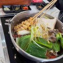 돋보이 개 이미지