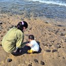 통나무펜션 | 11개월 아기와 강아지와 함께한 제주도 여행: 제주 댕댕이 애견 펜션 블랙 내돈내산 후기