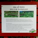 칠곡 망월사 백련연지(白蓮蓮池) 이미지