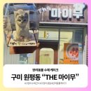 마이무 | [구미]원평동 반려동물 수제간식 케이크 주문“더마이무” 내돈내산 후기