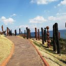 번개목장 이미지