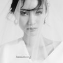 허밍베리 이미지