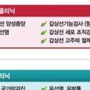제주맘모아외과의원 네이버블로그