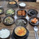 푸른밥상 - 울릉군 | 푸른밥상