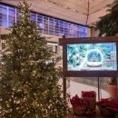 현대수산사료(주) | [일상] 주말 일상_주말보내기_서울 더현대 _크리스마스 빌리지_화곡_일등수산