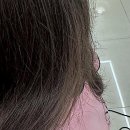 메종동물병원 | 가발 아니에요! 자연스러운 항암 붙임머리로 인생 머리 되찾은 썰 풀어봐요