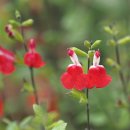 상동호수공원 이미지