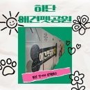 공원펫 | 부산 강아지 산책 하단 애견펫공원 후기