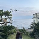 [제주스냅] 슈퍼헬퍼 이동패키지 내돈내산 후기 (제주웨딩스냅 토탈샵)