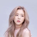 아이린 PC 이미지