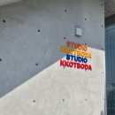 꽃을보듯