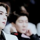 멜팅포인트 이미지