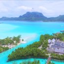 뉴파라다이스 이미지