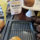 유상운 베이커리 | 포항 빵 맛집 유상운베이커리 동네주민의 n번째 방문 제발 읽어주세요 제발제발