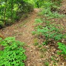 사나사(초입) | 서울 근교 계곡 추천 양평 사나사계곡 당일치기 방문 팁 총정리
