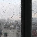 무지개노래연습장 | 비오는날 감성 글귀 (나이별, 성별 공감 메시지)