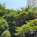 부곡시장길 이미지