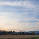 일지 브레인 아트 갤러리 카페 이미지