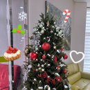 새봄요양병원 이미지