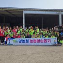 고향농가 이미지