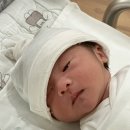 나무정원여성병원 이미지