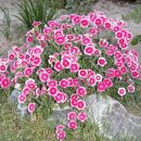 옥서초등학교 이미지