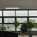 광명KTX역 | 광명 단열필름 시공 후기｜일직동 KTX광명역 사무실 열차단 필름