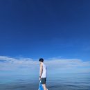 대륙붕 | [여행 후기] 보홀 5박5일 간의 물놀이 여정