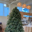 백두산약업사 이미지