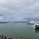 드림2주유소 | 괌 드림 돌핀크루즈 시간 예약 돌고래 스노클링