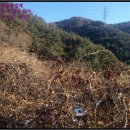 대현리경로당 이미지