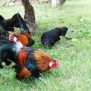 아산신창우체국 이미지