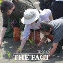 모항초등학교 이미지