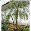 본오 초등학교 이미지