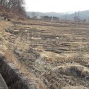 중앙탑면사무소 이미지