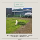 숙희네 개집 이미지